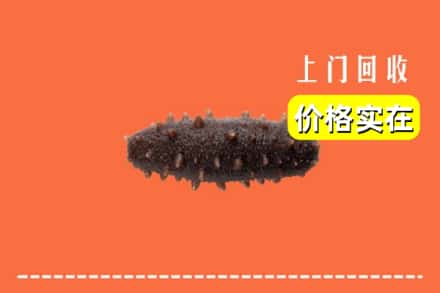 久治县回收海参
