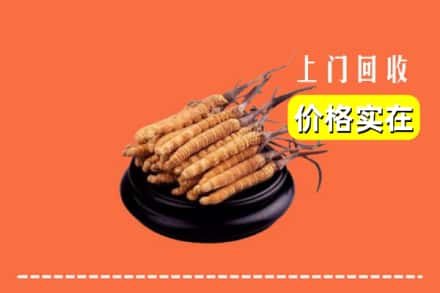 久治县回收冬虫夏草