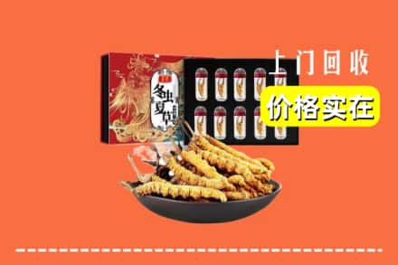 久治县回收虫草