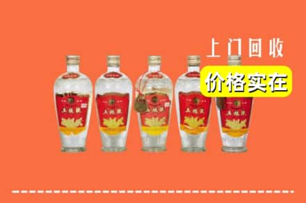 诚信求购:久治县高价回收老五粮液